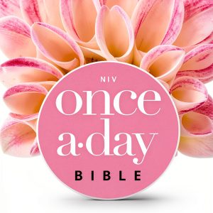 Christian Daily Bible Zondervan Kindle eBook-0