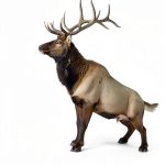 Hunt The West Archery Kindle Book by Brand-0