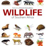 Struik Nature wildlife Kindle Guide 1992 Pages-0