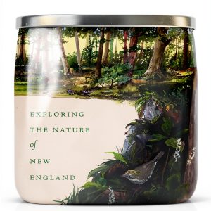 Kindle Store University Press of New England Book-0