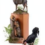 Kindle eBook by Knopf Wildlife Science Guide-0