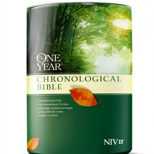 Christian Bible Kindle Tyndale eBook Word Wise-0
