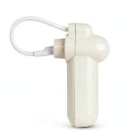 CONTROLTEK MiniStick tag, AM Technology - with 3in (90mm) Lanyard - Ivory - 500 Tags-0